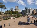 Looking to the Sydney skyline